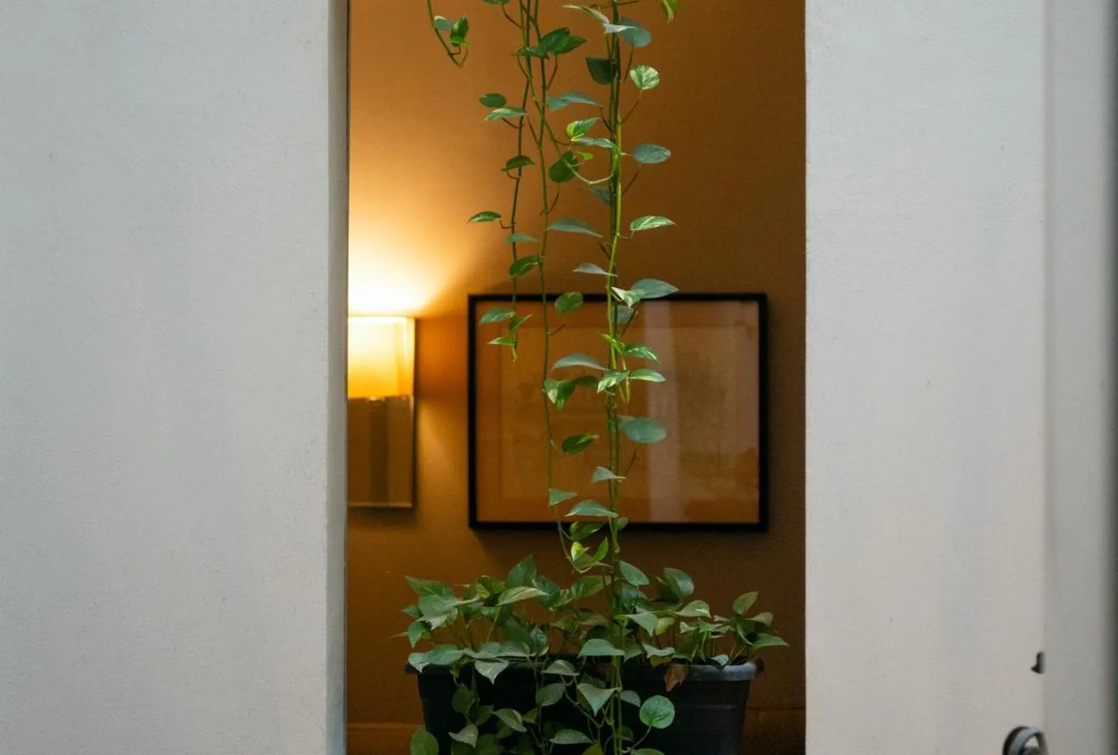 Hotel Ramblas Internacional Barcelona
